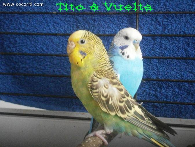Tito e Vuelta